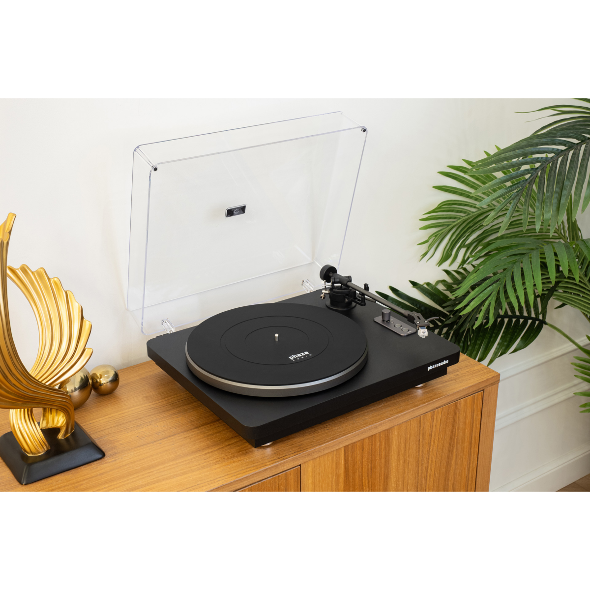 Виниловый проигрыватель Phaze Audio Diana MK2 Black — изображение 6