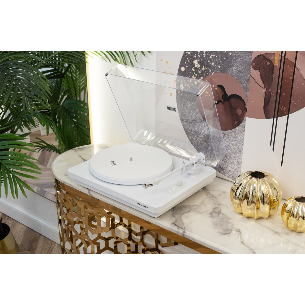 Виниловый проигрыватель Phaze Audio Diana MK2 Siberian White — изображение 7
