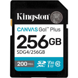 Карта памяти 256GB SD Kingston Canvas Go! Plus (SDG4/256GB)