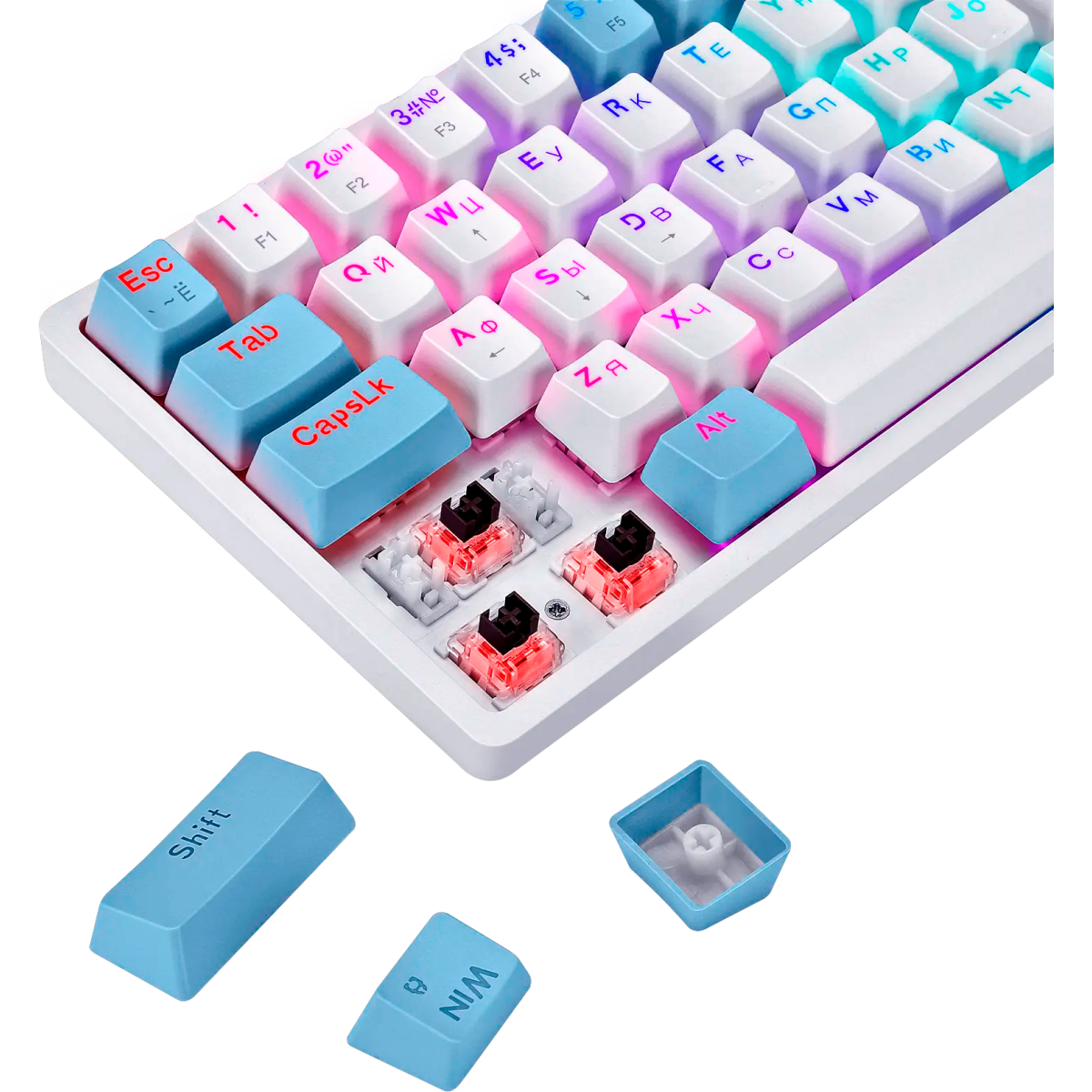 Клавиатура Defender Amox GK-585 (45585) — изображение 4