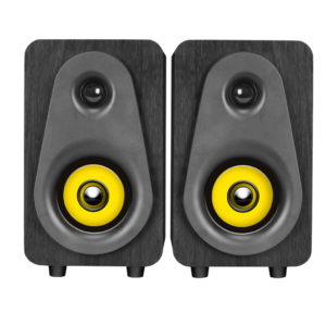 Колонки Ritmix SP-3040W Black
