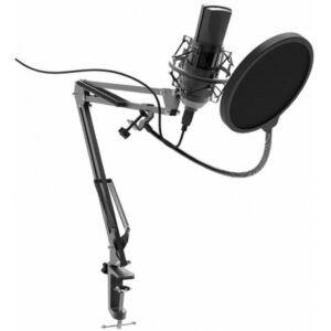 Микрофон Ritmix RDM-180 Black