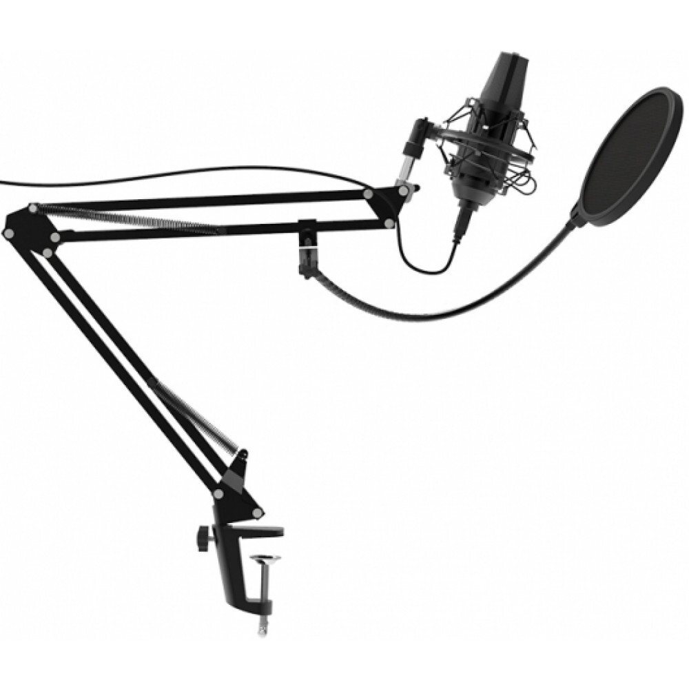 Микрофон Ritmix RDM-180 Black — изображение 2