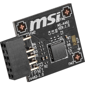 Модуль шифрования MSI MS-4462