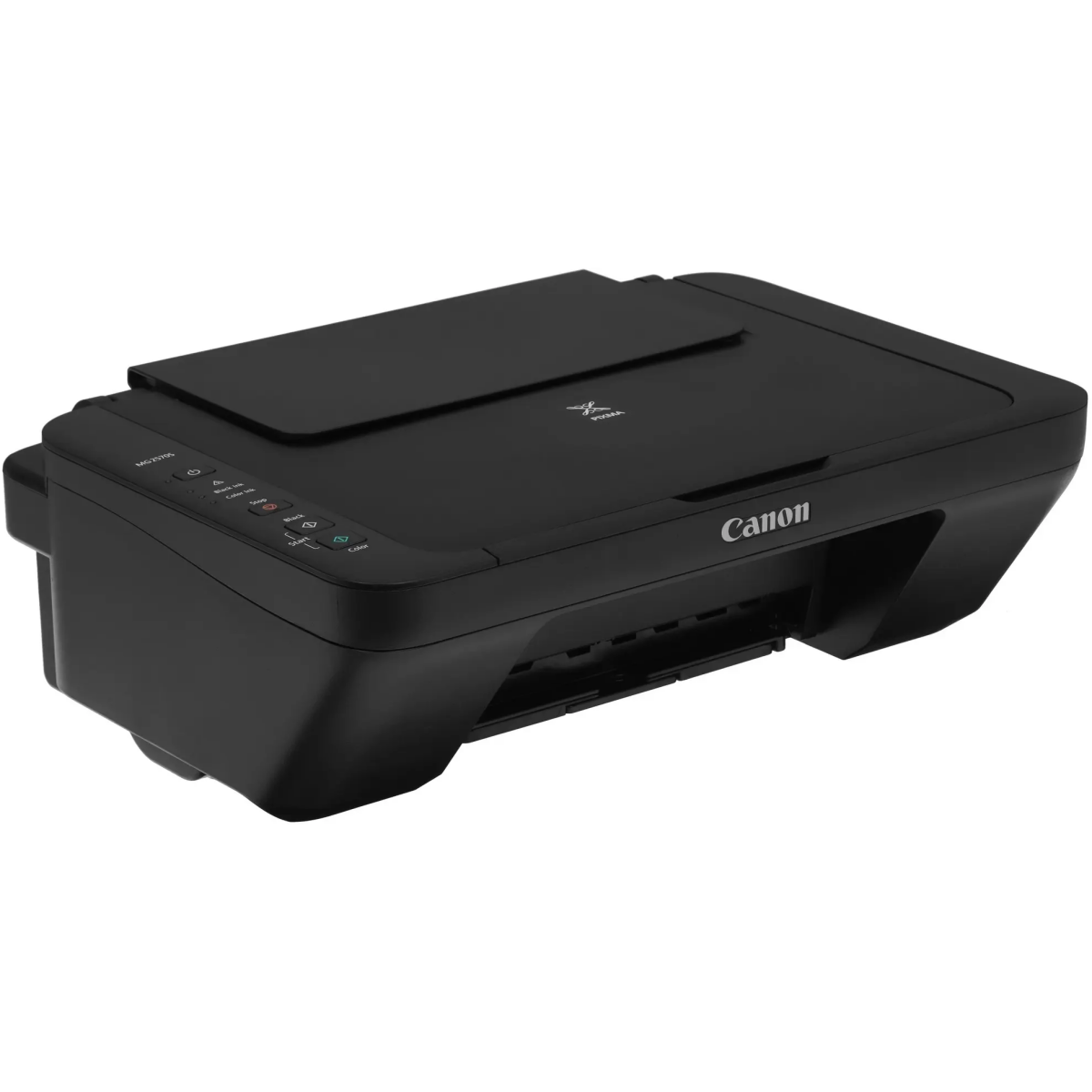 МФУ Canon PIXMA MG2570S (0727C012) — изображение 3