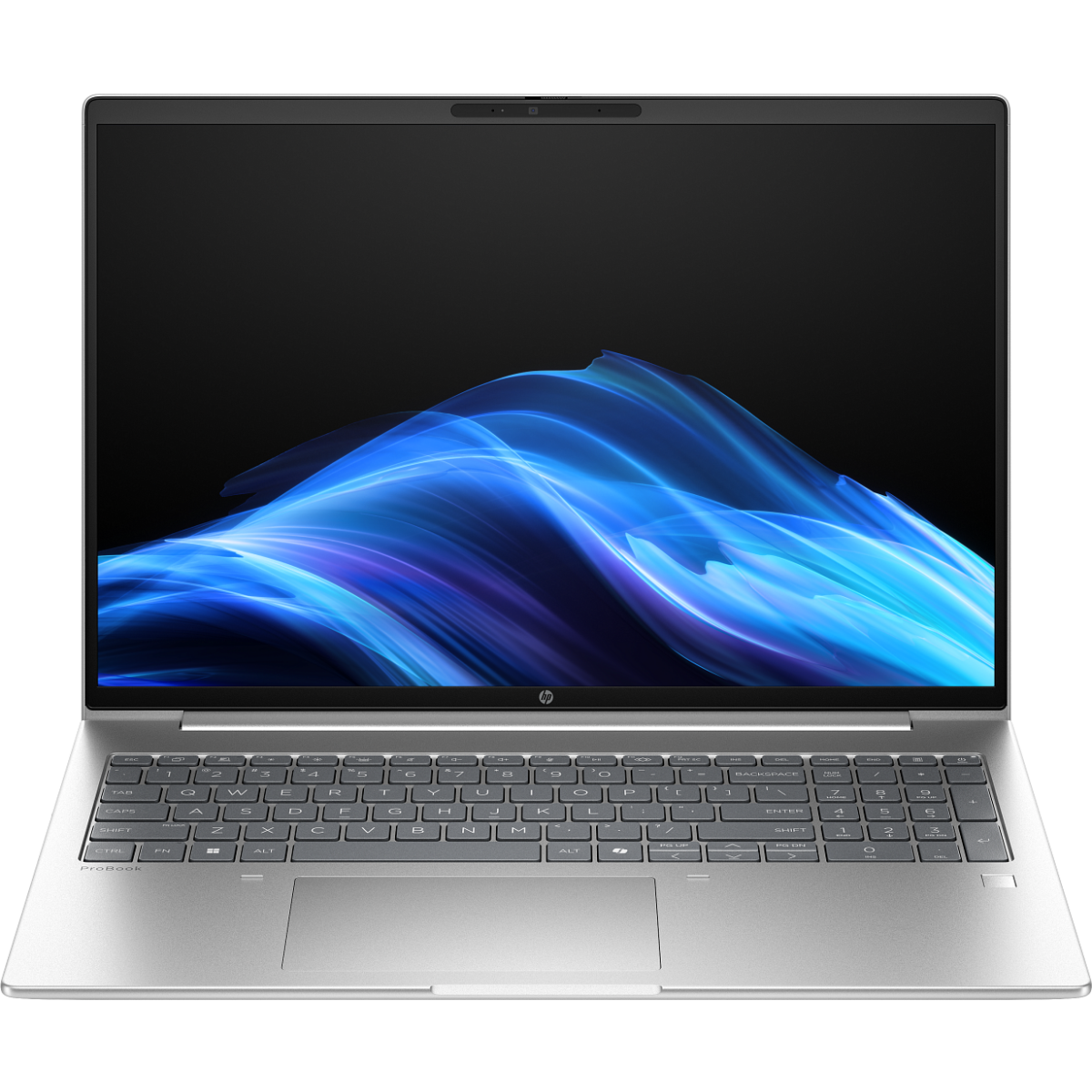 Ноутбук HP ProBook 4 G1iR 16 (D0VE9AT)