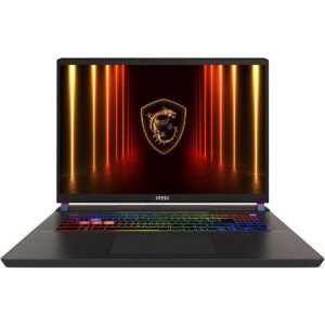 Ноутбук MSI Vector 17 HX AI A2XWJG (9S7-17S372-099)