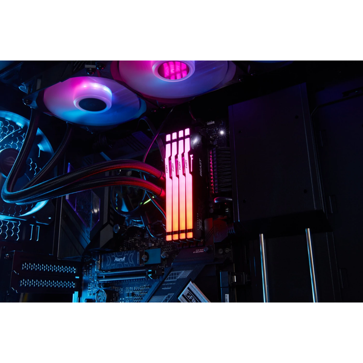 Оперативная память 32GB DDR5 5600MHz Kingston Fury Beast RGB EXPO (KF556C36BBEA-32) — изображение 3