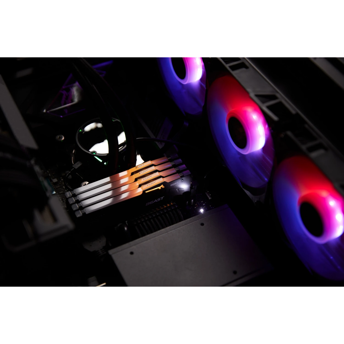 Оперативная память 32GB DDR5 5600MHz Kingston Fury Beast RGB EXPO (KF556C36BBEA-32) — изображение 5