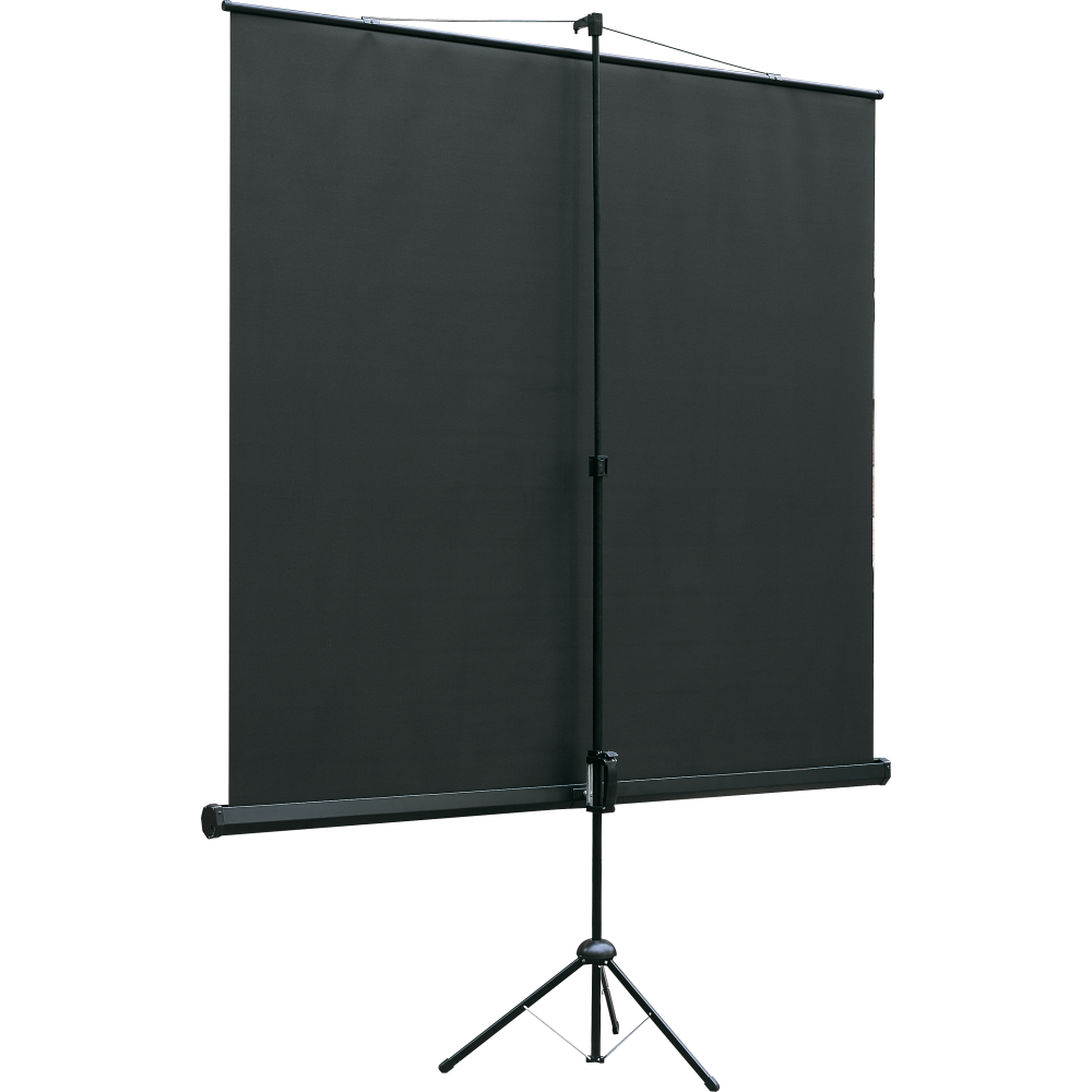 Экран Lumien Eco View 128x171 Matte White — изображение 2