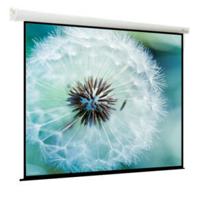 Экран ViewScreen Breston 244x244см (EBR-1106)
