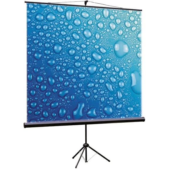 Экран ViewScreen Clamp 209x120см (TCL-16903)