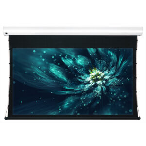 Экран ViewScreen Premium 234x132см LF-MC106(16:9)WW5(AACW)