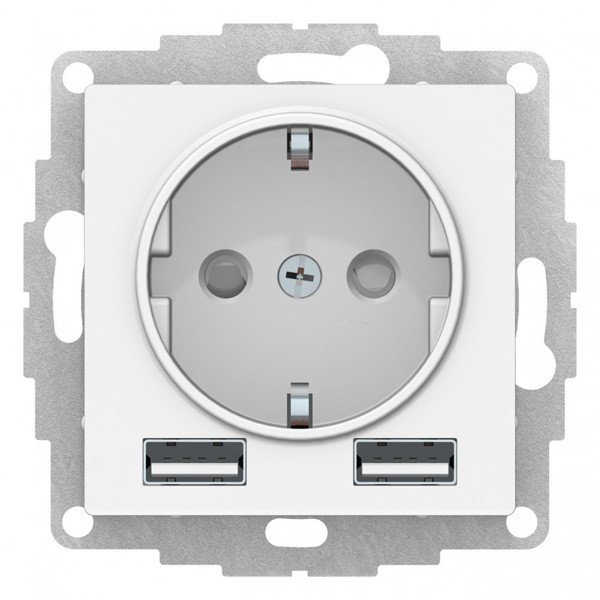 Розетка с заземлением с 2 USB Systeme Electric ATN001330