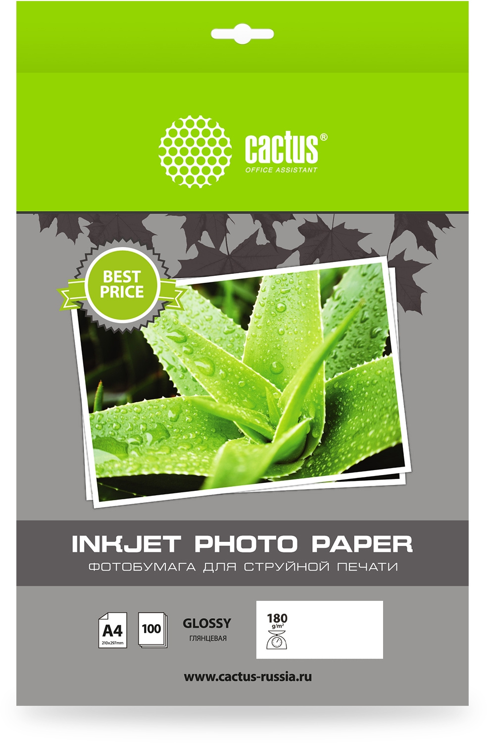 Фотобумага Cactus CS-GA4180100ED
