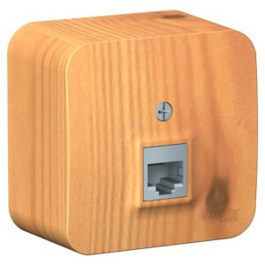 Розетка Systeme Electric BLNIA045005