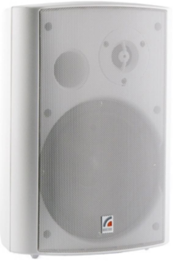 Громкоговоритель Roxton MS-40TW