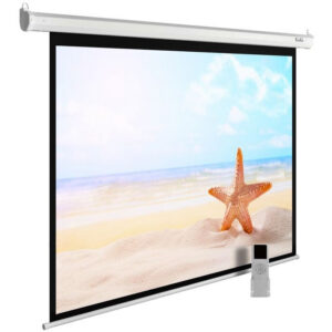 Экран Cactus CS-PSME-220X138-WT