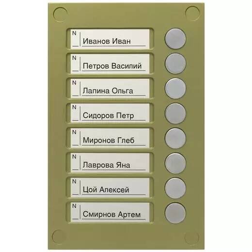 Панель VIZIT BS-424-8