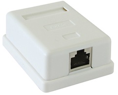 Розетка настенная Cablexpert NAS212