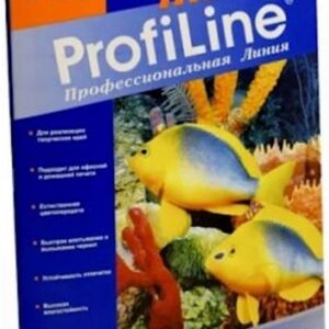 Холст ProfiLine PL_CP_380_A4_10