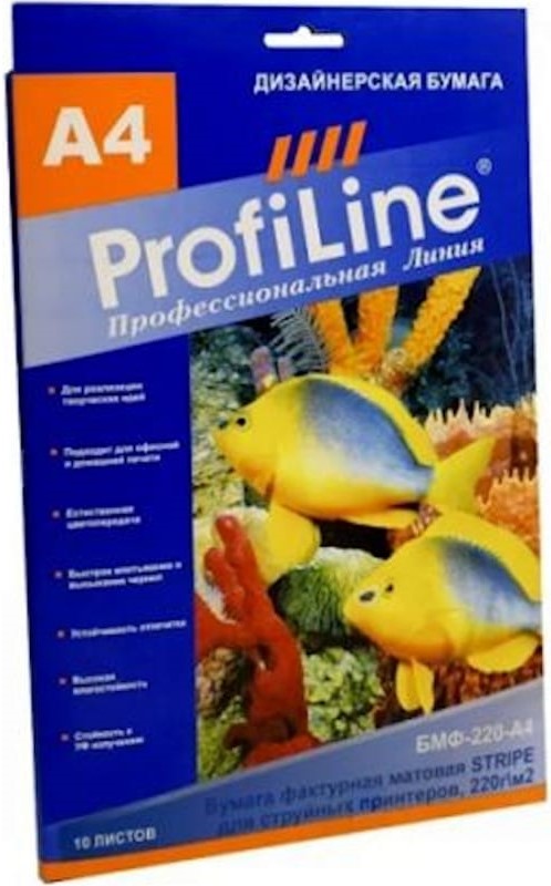 Холст ProfiLine PL_CP_380_A4_10