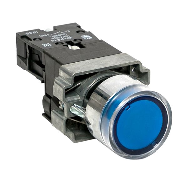 Кнопка EKF xb2-bw61-230-65