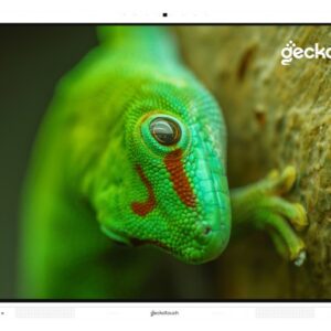 Интерактивный комплекс Geckotouch 98RT