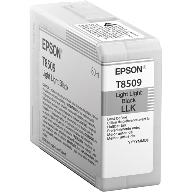Тонер-картридж Epson C13T850900 Светло-серый