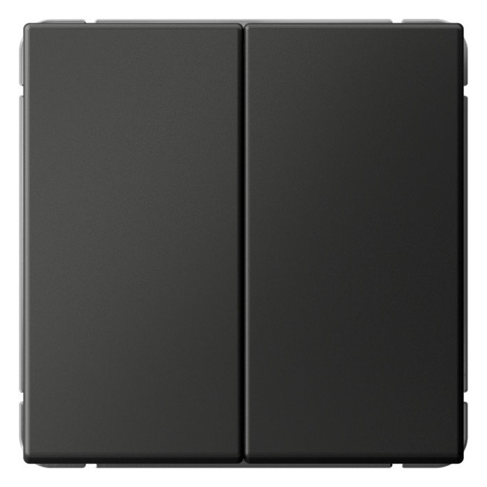 Переключатель двухклавишный Systeme Electric GAL001465
