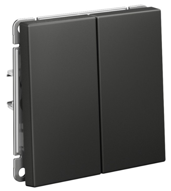 Выключатель двухклавишный Systeme Electric GAL001451S