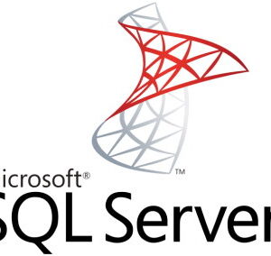 ПО Microsoft SQL Server Standard 2019 English DVD 10 Clt