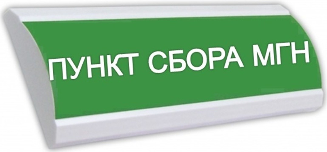 Оповещатель Электротехника и Автоматика ЛЮКС-24 "Пункт сбора МГН"