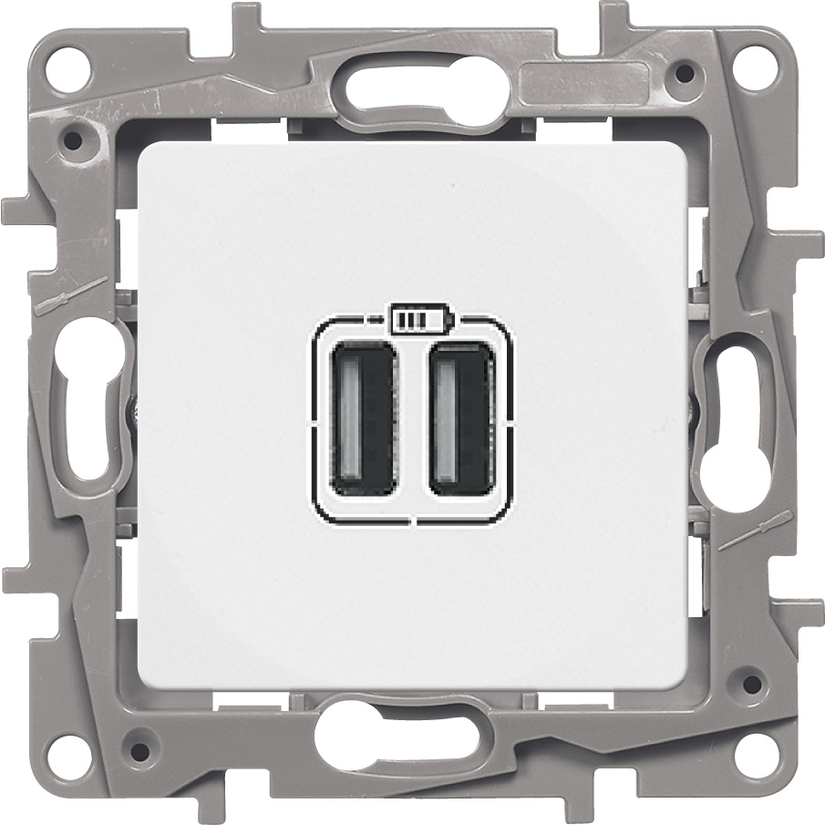 Зарядное устройство Legrand 672294