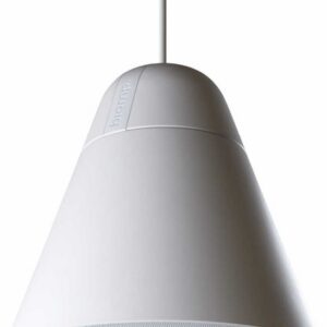 Акустическая система BIAMP P30DT-W