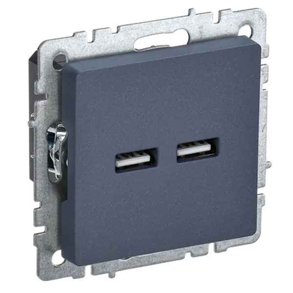 Розетка USB IEK BR-U21-D31-K35