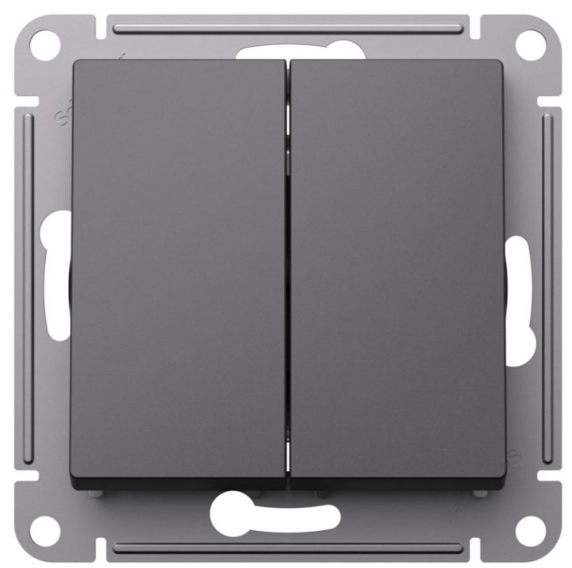 Переключатель двухклавишный Systeme Electric ATN001473