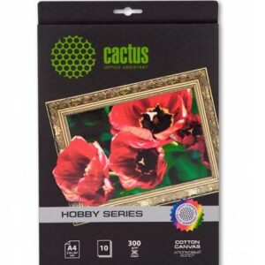 Холст Cactus CS-CA426010