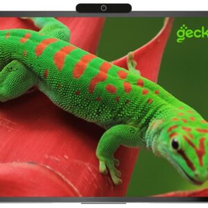 Интерактивный комплекс Geckotouch 86R