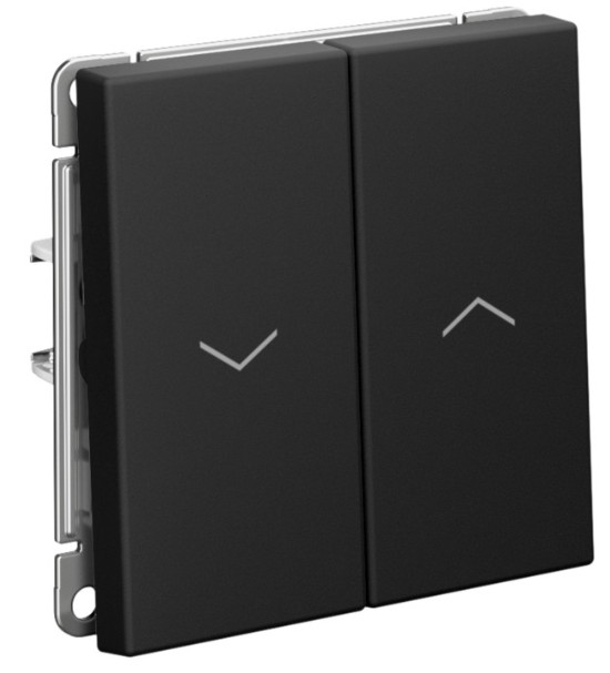 Выключатель двухклавишный Systeme Electric GAL001019S