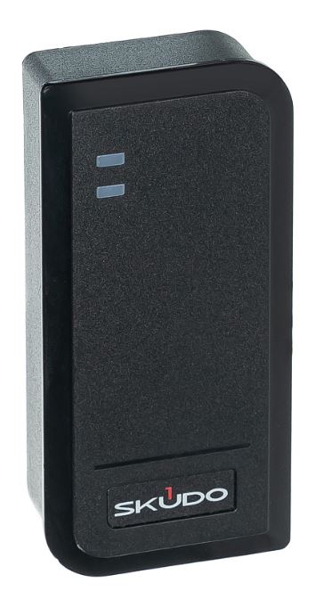 Считыватель Skudo SK-RP300EHM