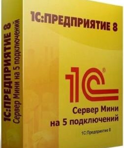 Право на использование 1С 1С:Предприятие 8.3. Сервер МИНИ на 5 подключений