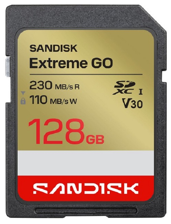 Карта памяти SDXC 128Gb SanDisk Extreme Go