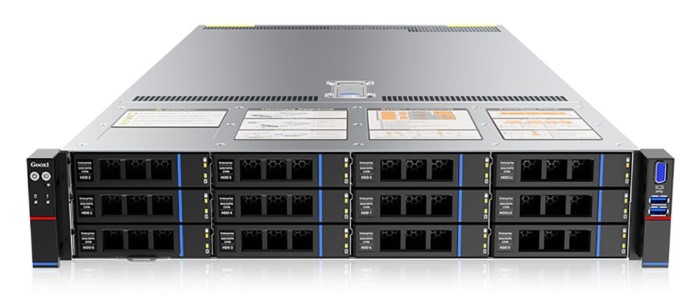 Серверная платформа 2U Gooxi SL201-D12R-NV-G4