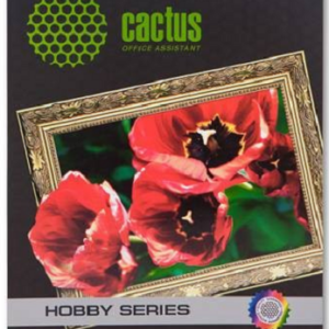 Холст Cactus CS-CA326010