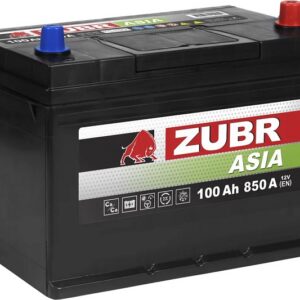 Батарея ZUBR ZPA1000