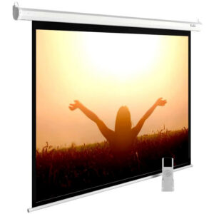 Экран Cactus CS-PSME-220X165-WT