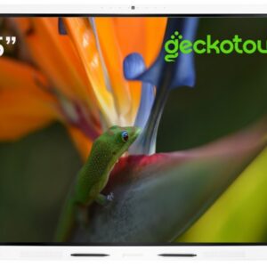 Интерактивная панель Geckotouch 65SL