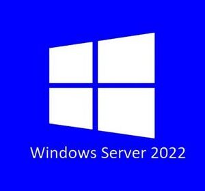 ПО (комплект) ОЕМ Microsoft Windows 2022 Standard Server English 16 Core OEI DVD Pack