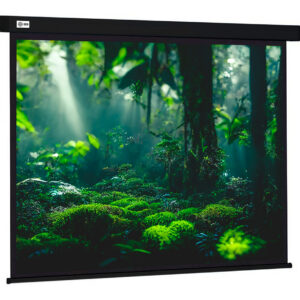 Экран Cactus CS-PSW-213X213-BK